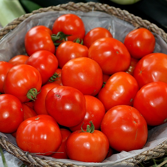 Белла Росса F1 - низькорослий гібрид помідору для відкритого грунту