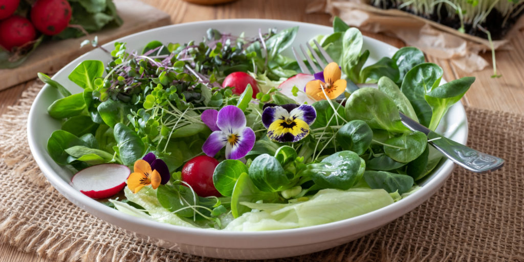 микрозелень салат съедобные цветы фото