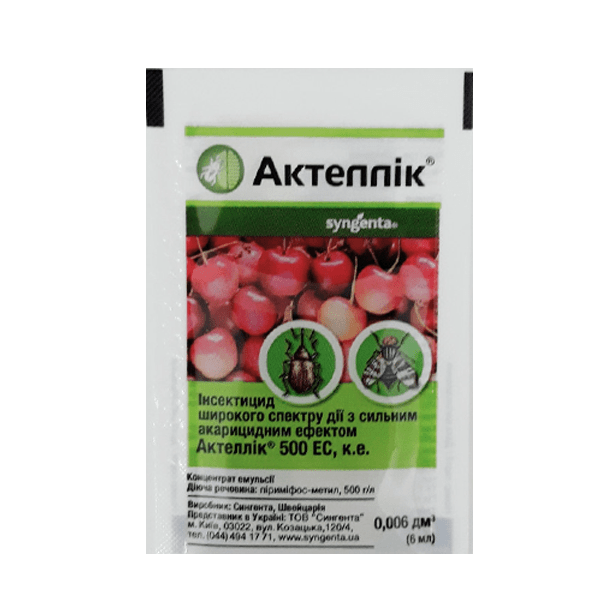 чим обробляти посіви чорної зимньої редьки