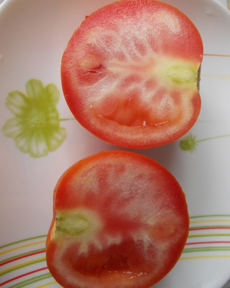 фотография бессемянность томата