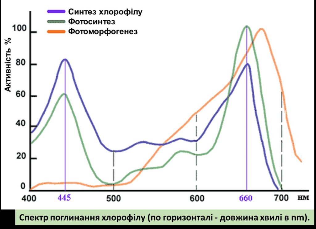 график спектр поглощения хлорофила