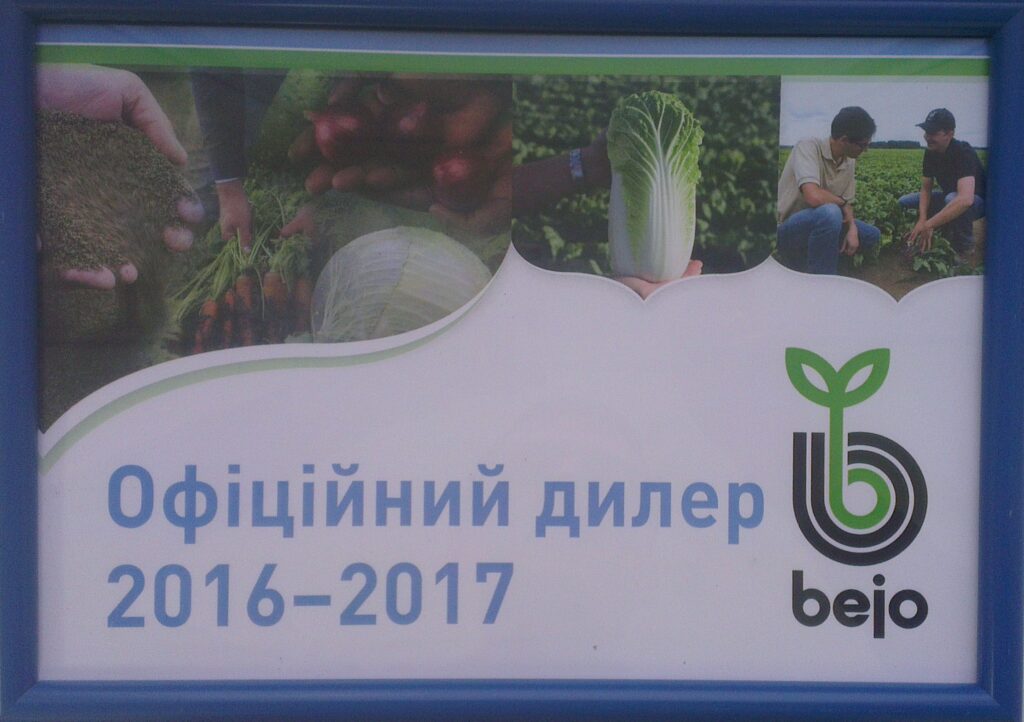 фото сертификат бейо