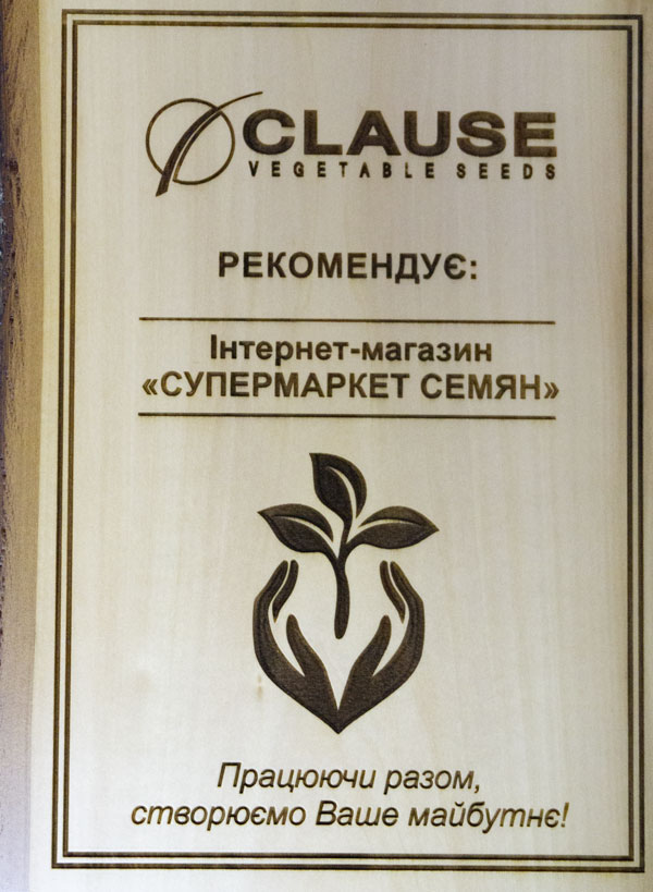 фото сертификат клоз