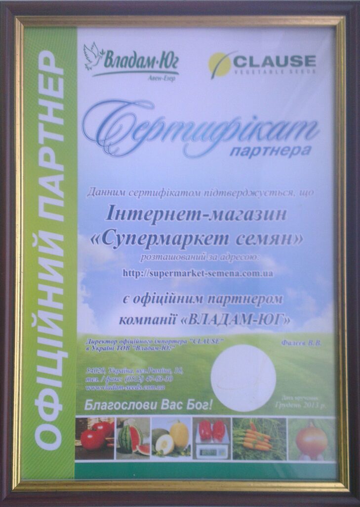 фото сертификат клоз