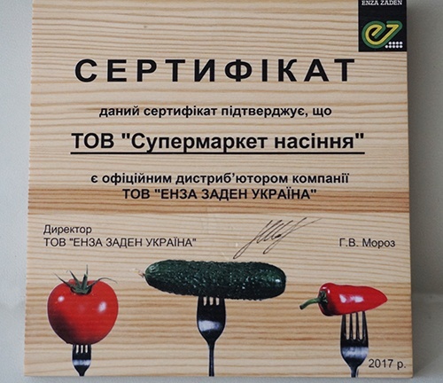 фото сертификат энза заден