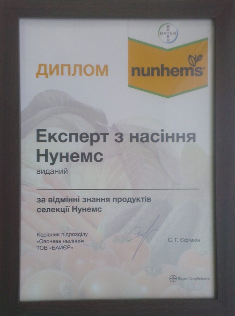 фото сертификат нунемс