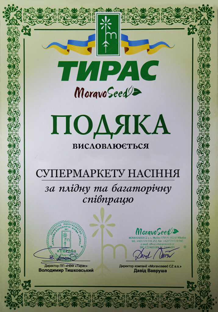 фото сертификат тирас