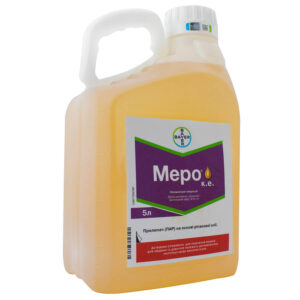 фото меро