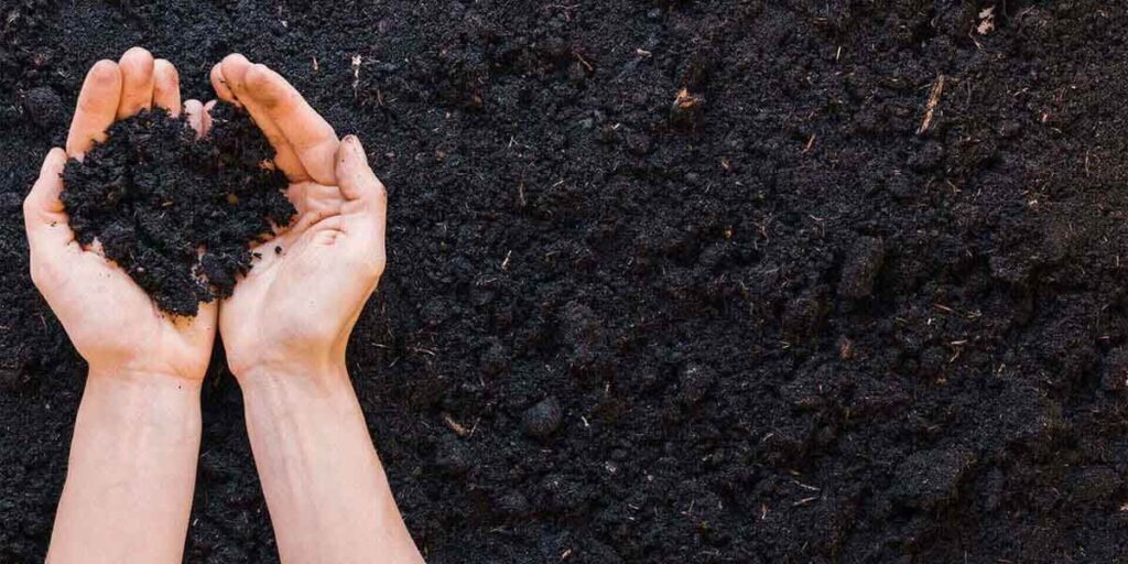 фото компост