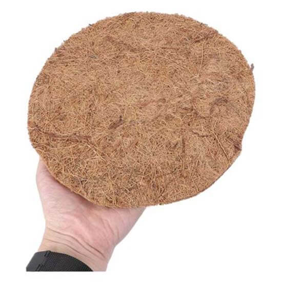 фото кокосовый круг
