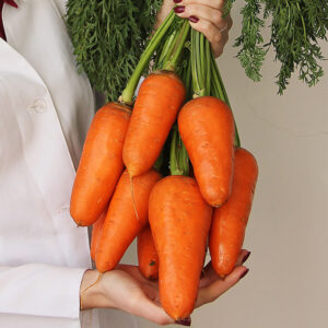 фото морковь нарина