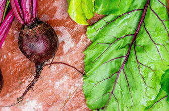 фото свеклы столовой