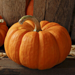 фото сорта тыквы вест