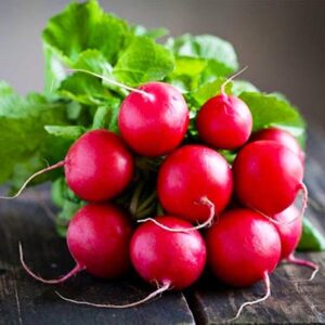 фото редис ранний красный