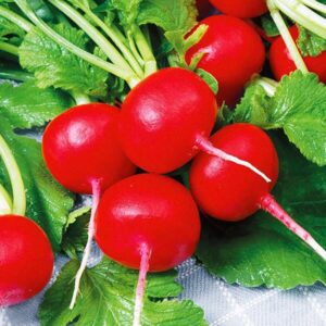 фото редис рондар ф1