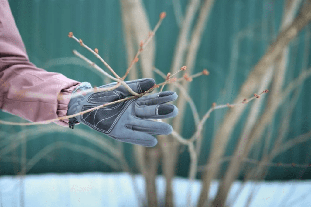 обрізка дерев