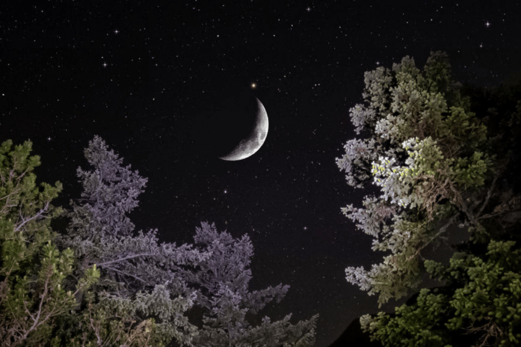 молодий місяць в небі