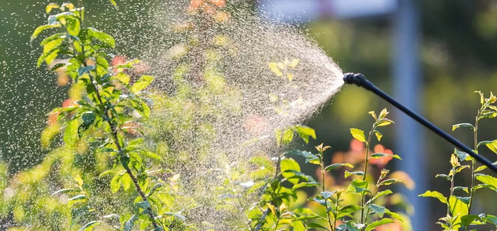 біоінсектициди біологічні препарати
