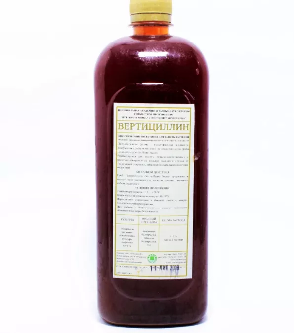 вертицилин результат действие на насекомых