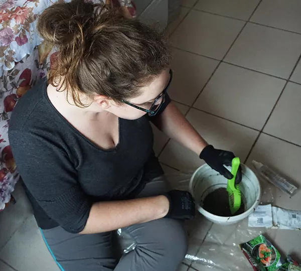 як вирощувати на підвіконні