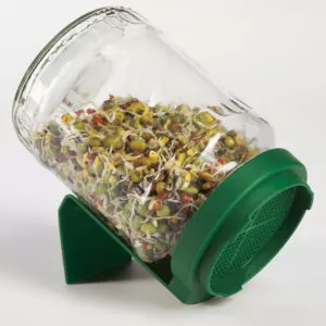 микрозелень в банке выращивание фото проращивание