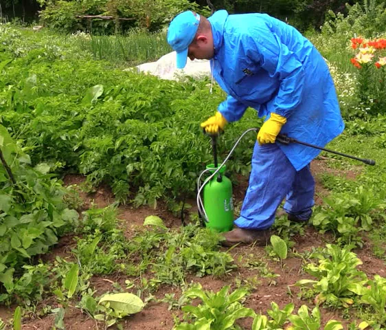 как смешивать агрохимию