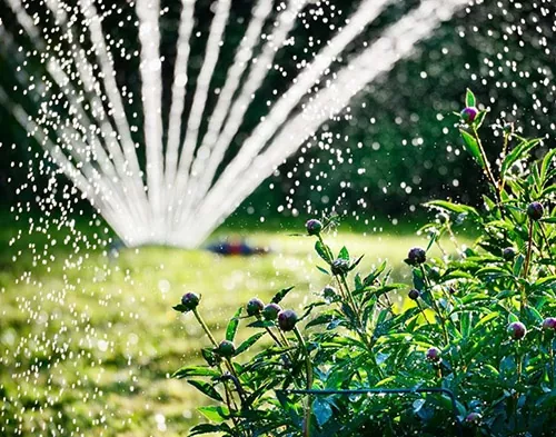 как подготовить воду для рабочего раствора