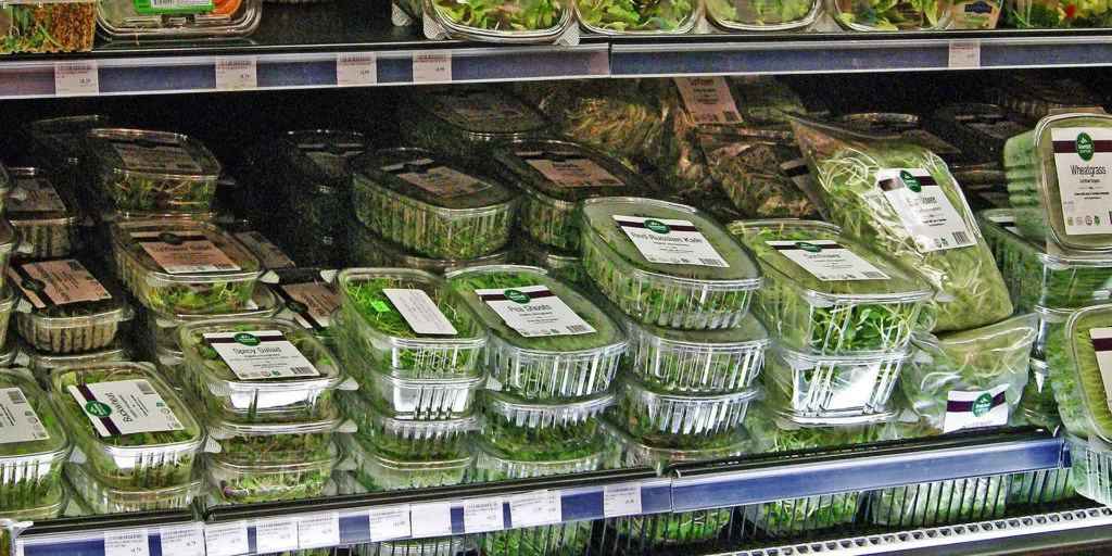 микрозелень в супермаркете