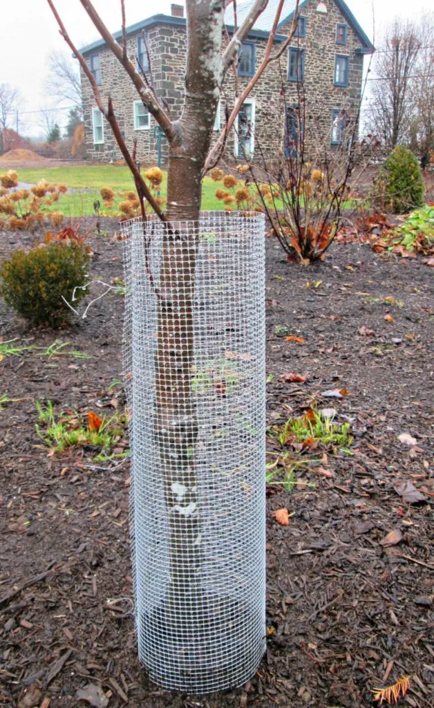 изображение сетка для защиты от грызунов