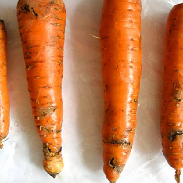 изображение фомоз моркови