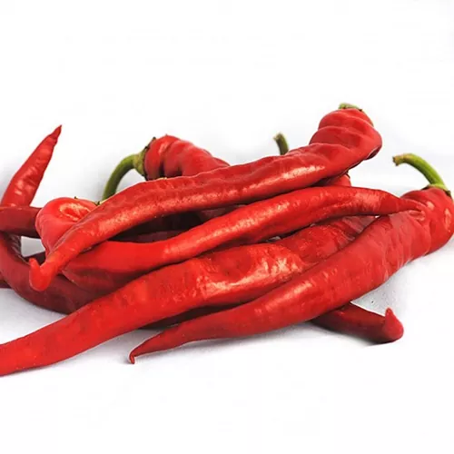 фото острого перца ацтек ф1