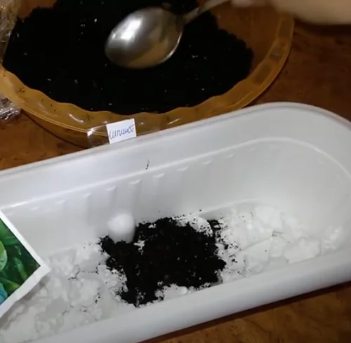 шпинат на подоконнике выращивание из семян