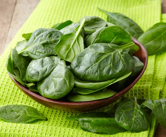 шпинат на подоконнике когда собирать