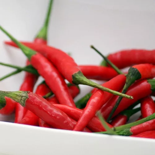 фото острого перца украинский горький