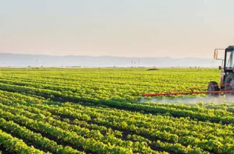 фото обработка поля