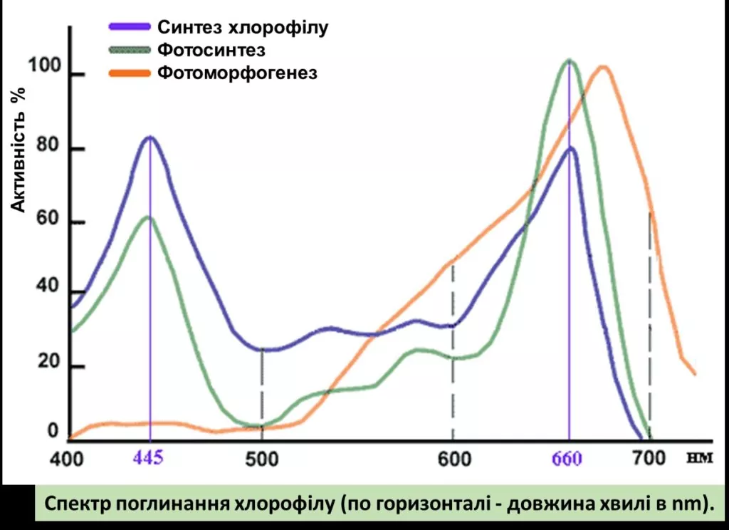 график спектр поглощения хлорофила