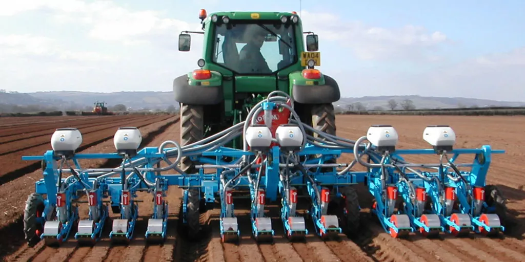 фото формирование гряд для моркови