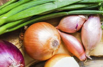 фото лук виды