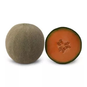 фото дыня кс 7084