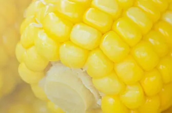 сахарная кукуруза фото