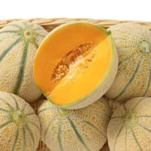 фото дыня ортолани