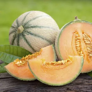 фото дыня портенто