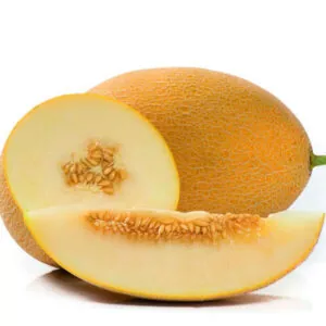 фото дыня радмила