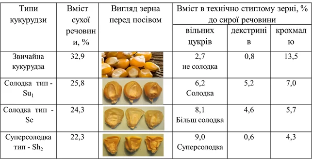таблица сладость сахарной кукурузы