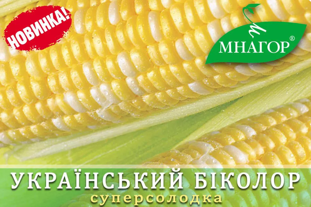 фото кукуруза украинский биколор