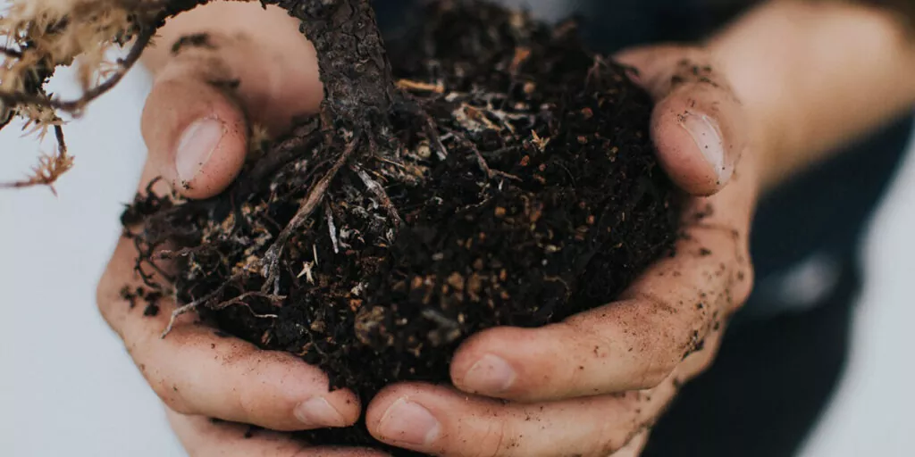 фото почва в руках