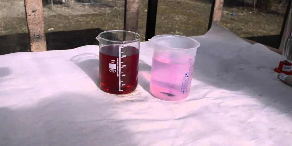 фото марганцовка