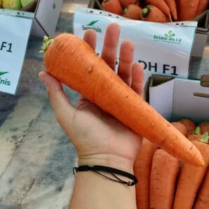 фото морковь абако