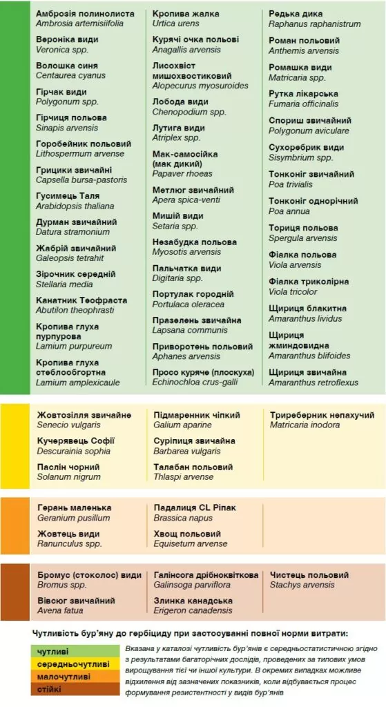 таблица действие препарата стомп