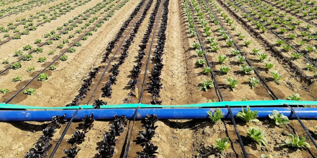 фото шланг плоский лейфлет